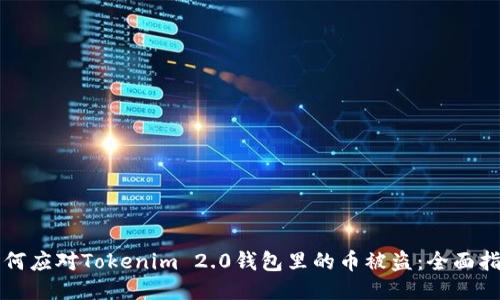 如何应对Tokenim 2.0钱包里的币被盗：全面指南