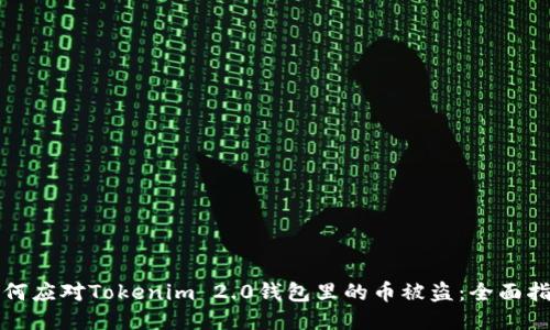 如何应对Tokenim 2.0钱包里的币被盗：全面指南