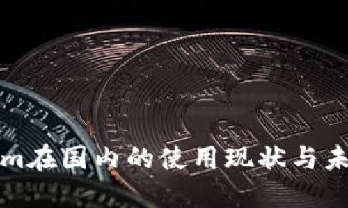 Tokenim在国内的使用现状与未来展望