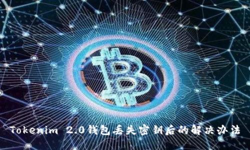 Tokenim 2.0钱包丢失密钥后的解决办法