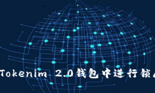 如何在Tokenim 2.0钱包中进行锁屏设置？