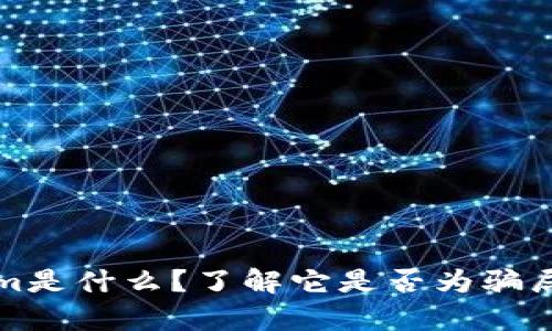 Tokenim是什么？了解它是否为骗局的真相