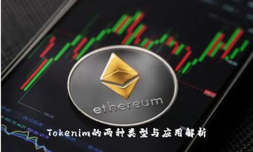 Tokenim的两种类型与应用解析