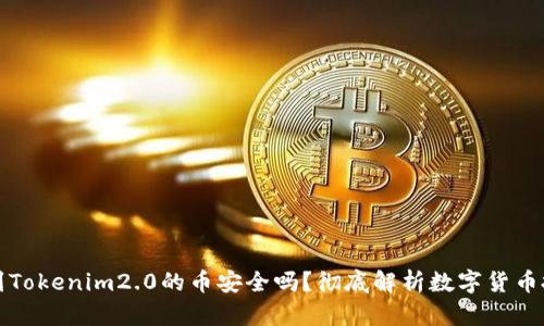 能添加到Tokenim2.0的币安全吗？彻底解析数字货币投资风险