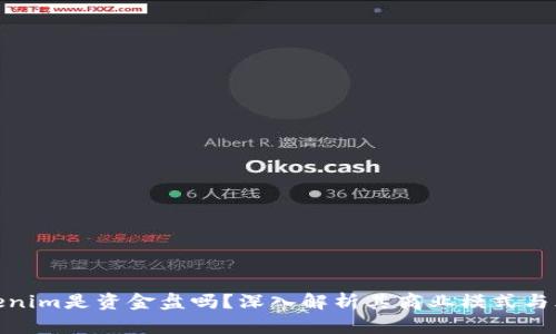 Tokenim是资金盘吗?深入解析其商业模式与风险