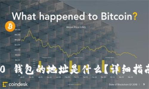 且的:
TokenIM 2.0 钱包的地址是什么？详细指南与常见问题