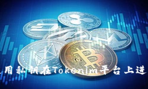 如何使用私钥在Tokenim平台上进行操作