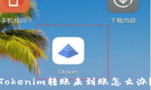   
Tokenim转账未到账怎么办？