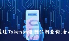 如何通过Tokenim进行公钥查