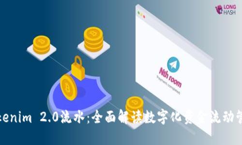 Tokenim 2.0流水:全面解读数字化资金流动管理