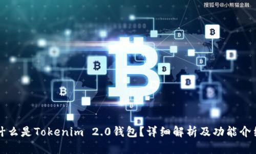 什么是Tokenim 2.0钱包?详细解析及功能介绍