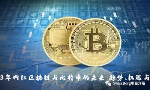 2023年网红区块链与比特币的未来:趋势、机遇与挑战