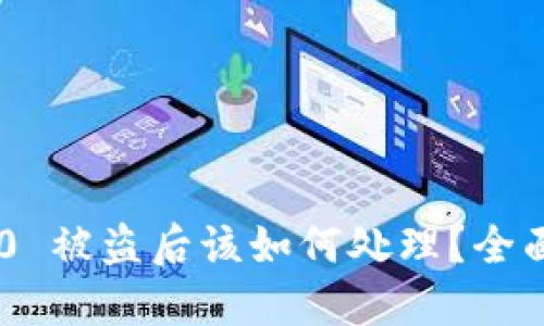 Tokenim 2.0 被盗后该如何处理?全面指南与建议