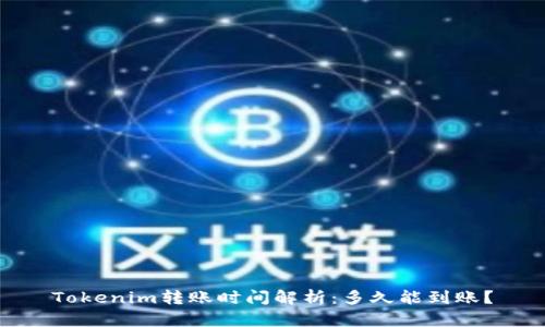 Tokenim转账时间解析:多久能到账?
