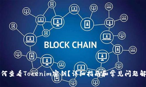 如何查看Tokenim密钥?详细指南和常见问题解答