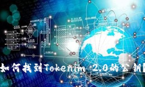 如何找到Tokenim 2.0的公钥?