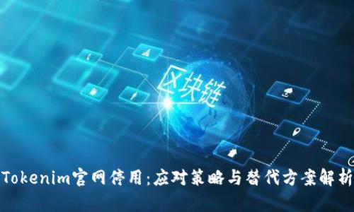 Tokenim官网停用:应对策略与替代方案解析