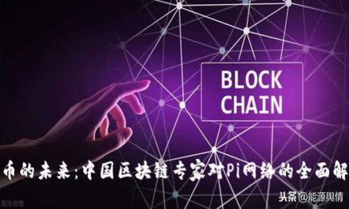 Pi币的未来:中国区块链专家对Pi网络的全面解析
