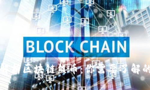 深入解析区块链熊币:你需要了解的一切