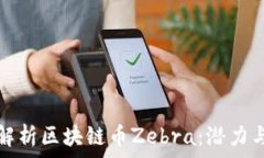  全面解析区块链币Zebra：