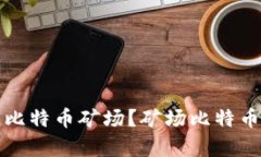 如何建设高效的比特币矿
