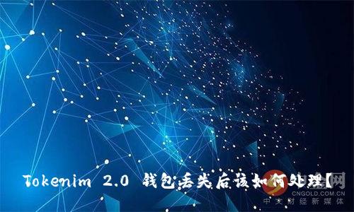 Tokenim 2.0 钱包丢失后该如何处理？