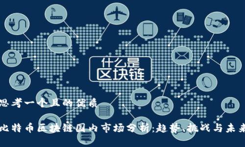 思考一个且的优质
比特币区块链国内市场分析:趋势、挑战与未来