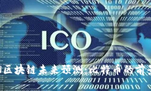 WECOIN区块链未来预测:比特币的前景与挑战