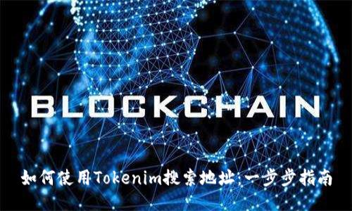 如何使用Tokenim搜索地址:一步步指南