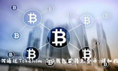 如何通过Tokenim 2.0钱包获得