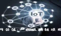Tokenim官网估值：一探区块