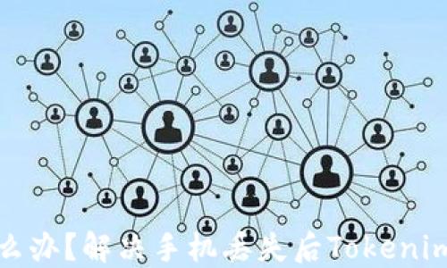 手机丢了Tokenim怎么办?解决手机丢失后Tokenim登录问题的全面指南