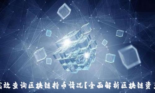 如何高效查询区块链持币情况?全面解析区块链资产管理