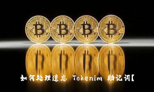 如何处理遗忘 Tokenim 助记词?