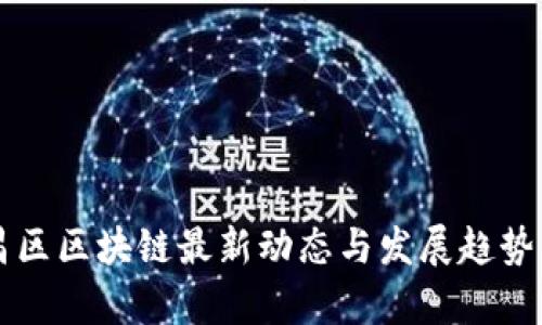 新昌区区块链最新动态与发展趋势分析