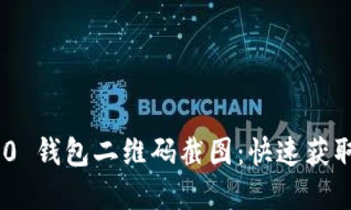 Tokenim 2.0 钱包二维码截图:快速获取和使用指南
