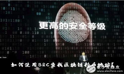如何使用BRC查找区块链持币地址?