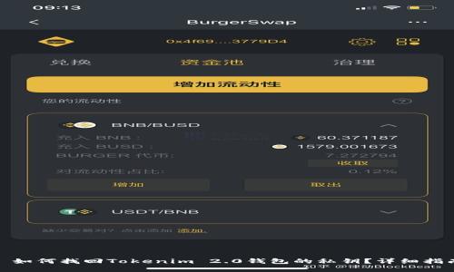 : 如何找回Tokenim 2.0钱包的私钥？详细指南