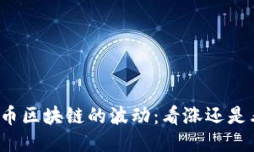 比特币区块链的波动:看涨还是看跌?