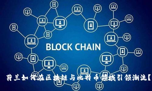 荷兰如何在区块链与比特币领域引领潮流?