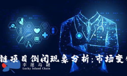 2023年区块链项目倒闭现象分析：市场变化与未来展望