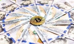 瑞波币（XRP）区块链技术