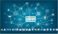 什么是PVC币？区块链领域
