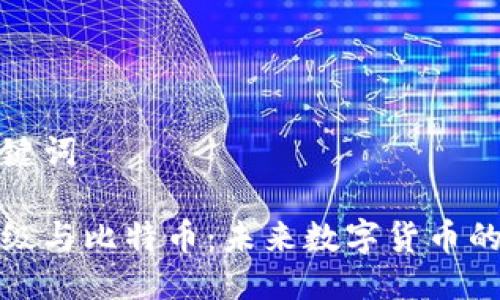 思考及关键词
区块链升级与比特币:未来数字货币的变革之路