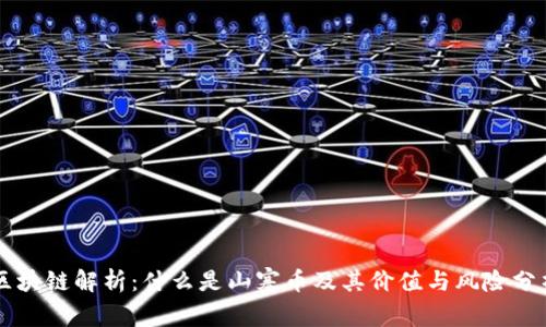 区块链解析:什么是山寨币及其价值与风险分析