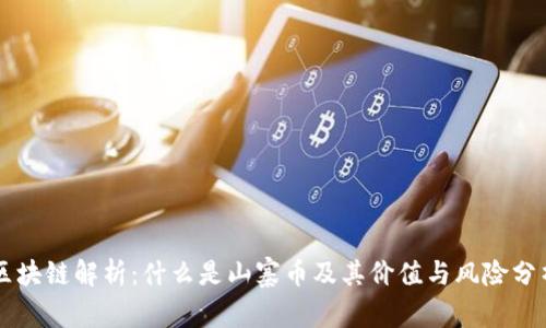 区块链解析:什么是山寨币及其价值与风险分析