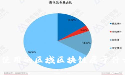 比特币使用的区域区块链属于什么类型?