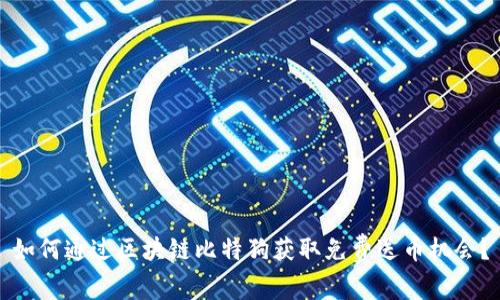 如何通过区块链比特狗获取免费送币机会？