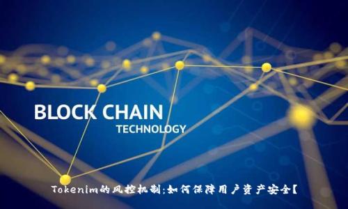 Tokenim的风控机制：如何保障用户资产安全？