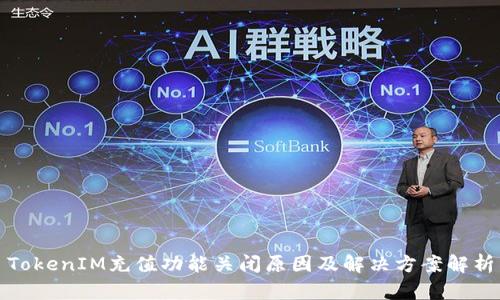 TokenIM充值功能关闭原因及解决方案解析